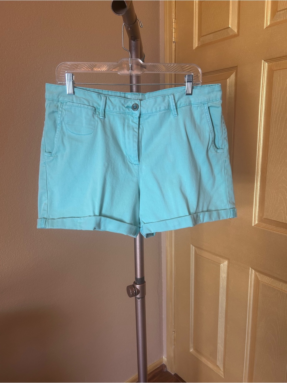 Land N Sea turquoise shorts